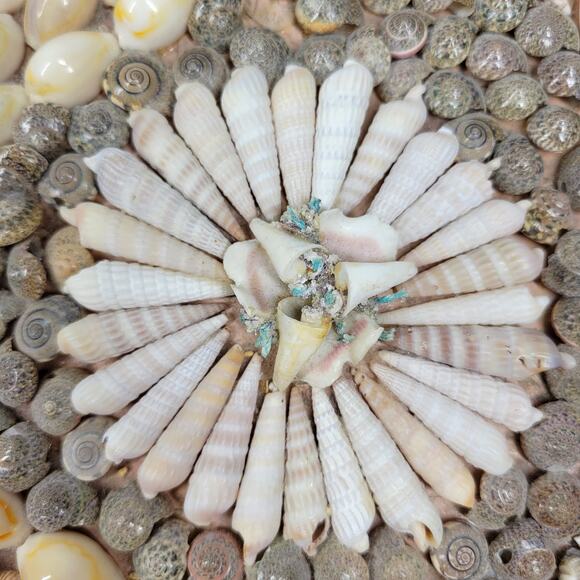 Vintage Shell Jewelry Box Satin Lined Handmade Coastal Trinket Organizer 12.5” - Picture 9 of 16